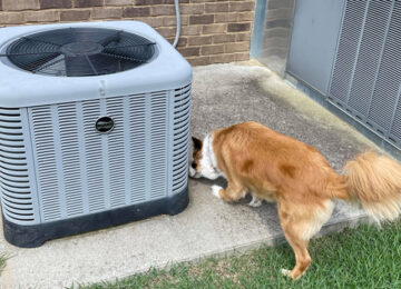 HVAC Maintenance Tips for Pet Owners