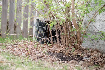 Outdoor home AC unit surrounded by leaves
