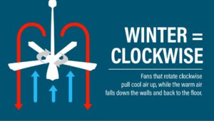 Winter Fans Clockwise