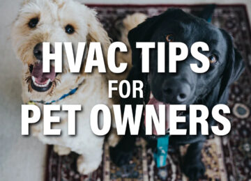 HVAC Tips for Pet Owners
