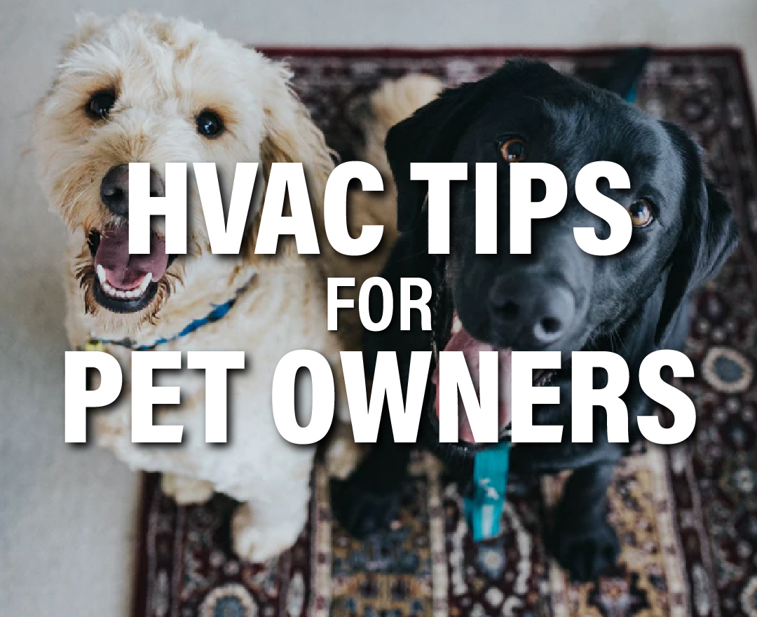HVAC for Pet Owners