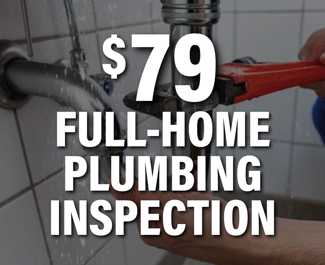 $79 Full-Home Plumbing Inspection